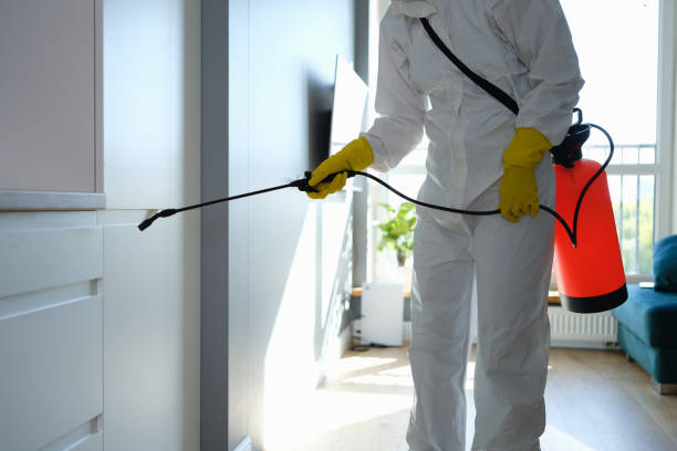  East Griffin, GA Mold Removal Pros